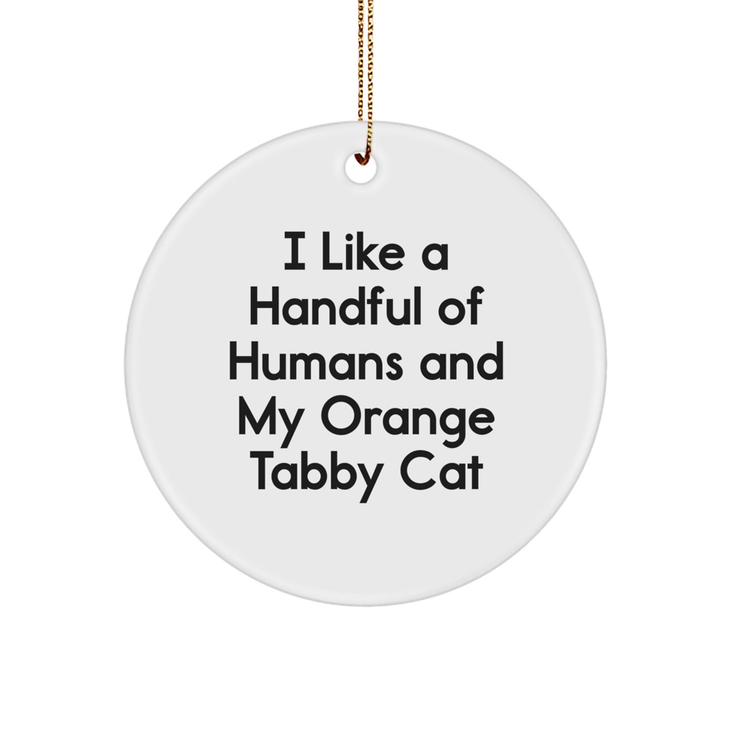 Funny Orange Tabby Cat Christmas Unique Gifts from Men for Orange Tabby Cat Lovers - Circle Ornament - Image 1