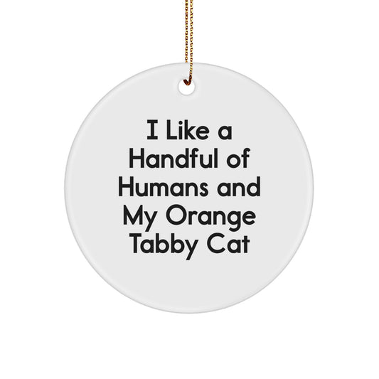 Funny Orange Tabby Cat Christmas Unique Gifts from Men for Orange Tabby Cat Lovers - Circle Ornament - Image 1