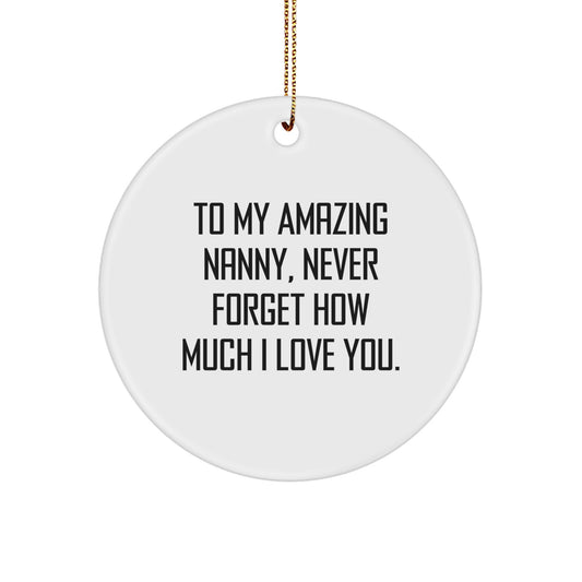 Gifts from Family for My Amazing Nanny, Never Forget How Much I Love You. Funny Christmas Circle Ornament - Image 1