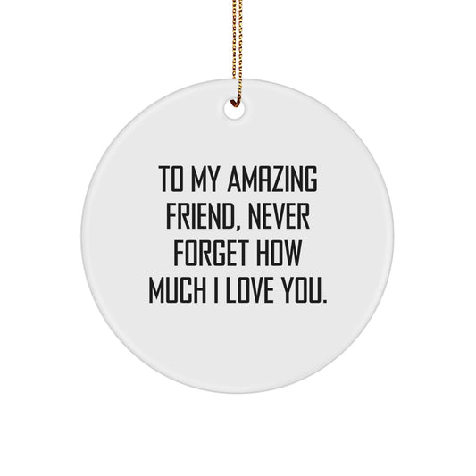 Friend Circle Ornament Gifts from Men to Friend - Funny Quote 'To My Amazing Friend, Never Forget How Much I Love You.' - Christmas Unique Circle Ornament for Home Decor - Image 1