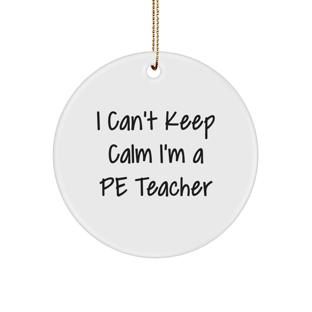 Funny PE Teacher Gifts for Men Women Friends Family - I Can't Keep Calm I'm A PE Teacher Christmas Unique Ornaments - Image 1