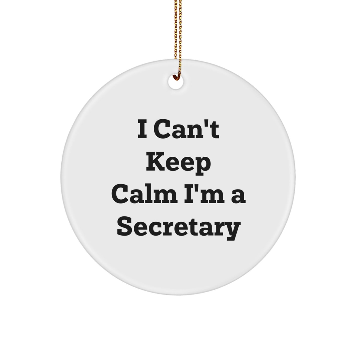 Funny Secretary Gifts from Friends and Family | I'm A Secretary Christmas Circle Ornament - Image 1