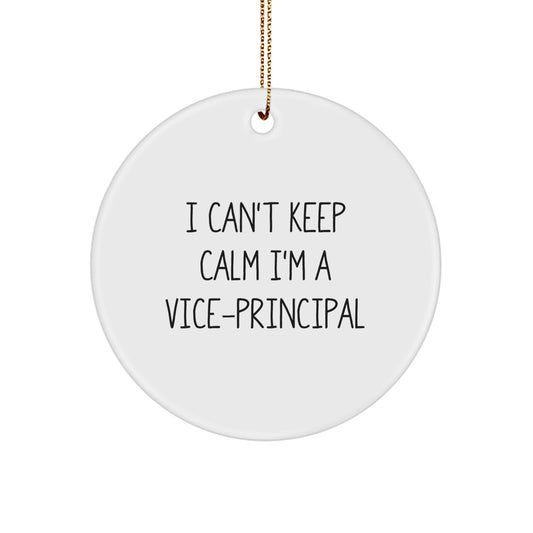 Funny Vice-principal Gifts from Friends for Vice-principal Men Women, I Can't Keep Calm I'm A Vice-principal Christmas Unique Ornaments, Vice-principal Circle Ornament - Image 1