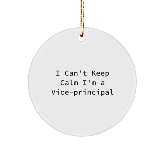 Funny Vice-principal Gifts from Friends for Vice-principal - I'm A Vice-principal Circle Ornament, Vice-principal Christmas Unique Gifts - Image 1