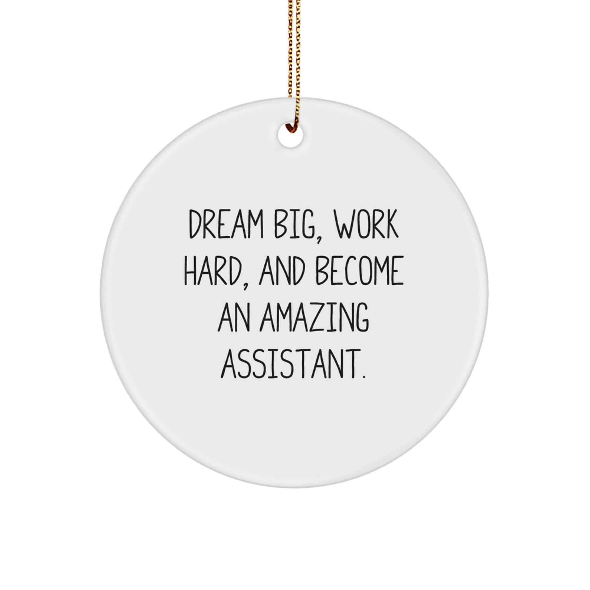 Funny Assistant Circle Ornament Gifts from Men for Christmas Unique Office Decorations - Dream Big Work Hard and Become Amazing Assistant - Image 1