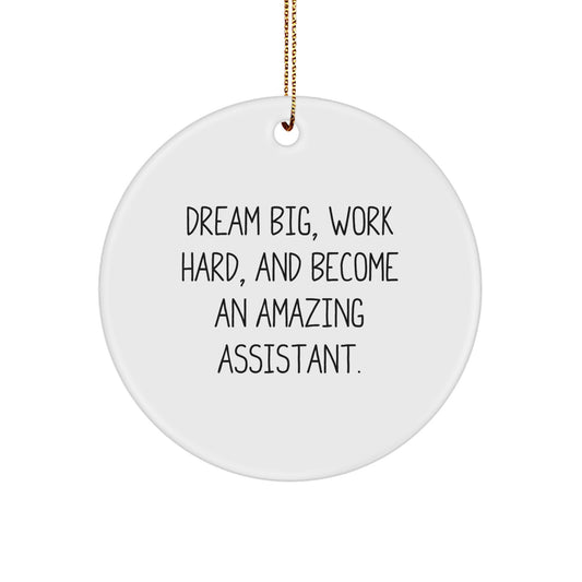Funny Assistant Circle Ornament Gifts from Men for Christmas Unique Office Decorations - Dream Big Work Hard and Become Amazing Assistant - Image 1