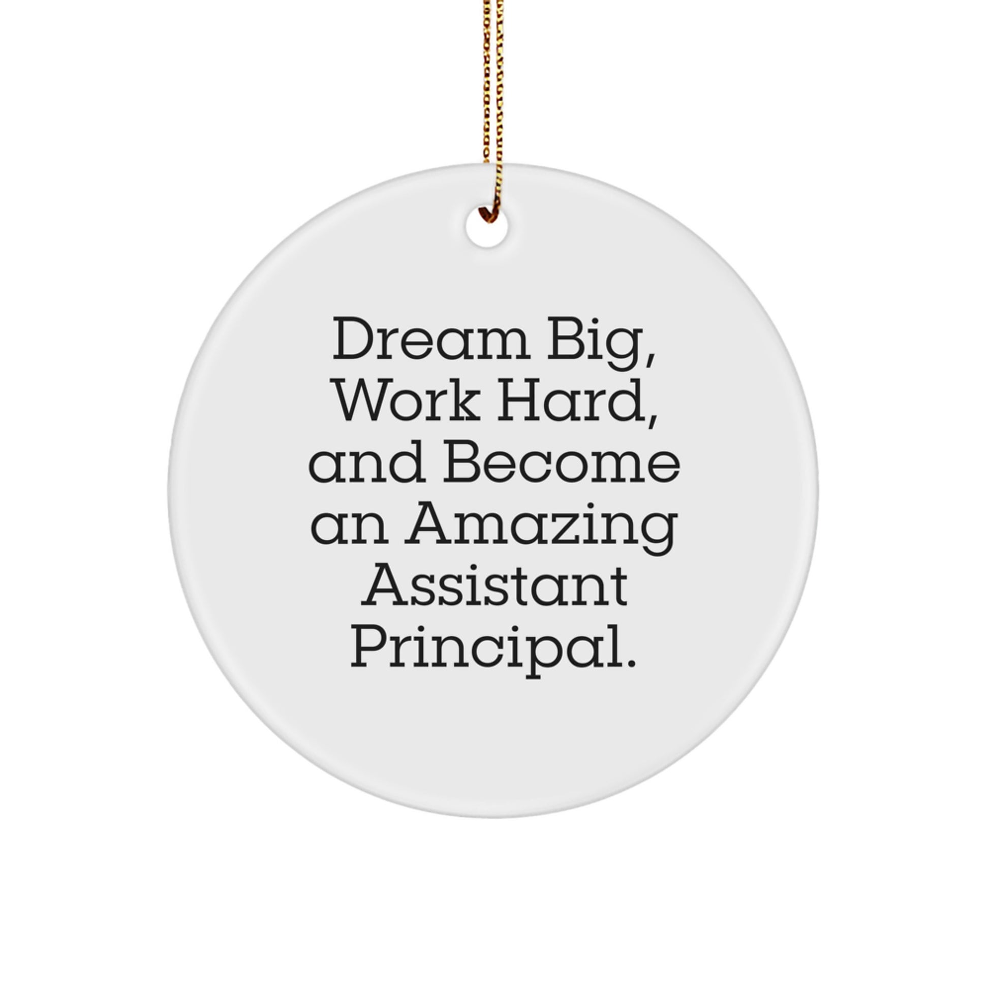 Gifts from Family for the Amazing Assistant Principal - Dream Big Work Hard Circle Ornament, White, Christmas Unique Gift - Image 1