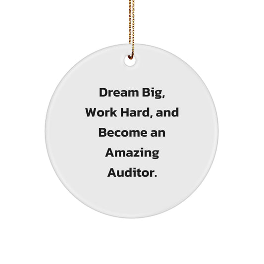 Funny Auditor Gifts from Men to Women - 'Dream Big, Work Hard' Circle Ornament for Christmas Unique Gifts - Image 1