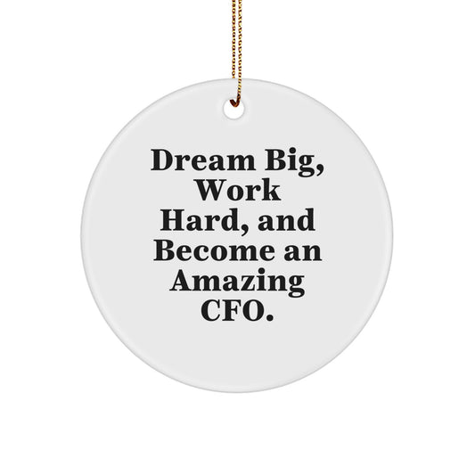 Funny CFO Gifts for Men, Unique Christmas Unique Gifts from Friends, Women, or Coworkers - CFO Circle Ornament with Inspirational Quote - Great CFO Office Decor - Image 1