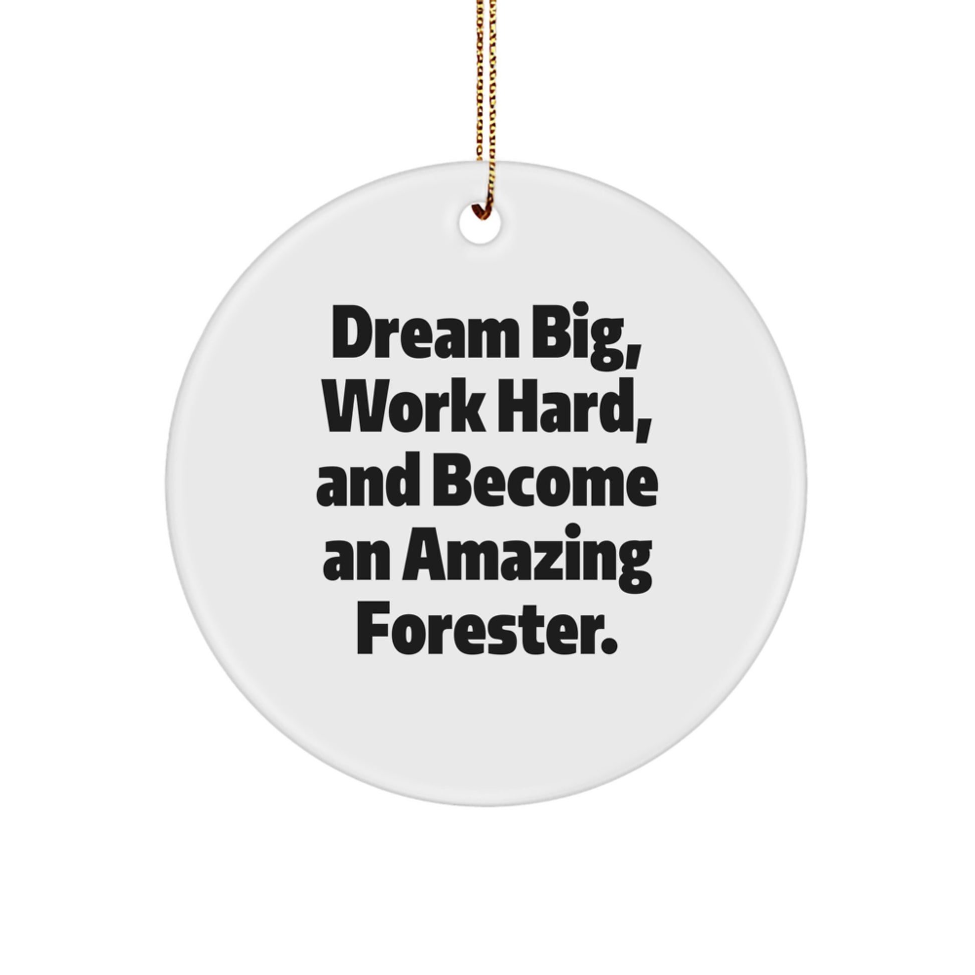Funny Forester Gifts, Circle Ornament, 'Dream Big Work Hard And Become An Amazing Forester', Christmas Unique Gifts from Friends for Foresters - Image 1