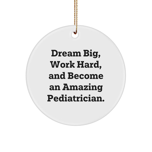 Funny Inspirational Gifts from Friends and Family for the Amazing Pediatrician in Your Life, 'Dream Big, Work Hard, Circle Ornament for Christmas Unique Gifts, Pediatrician Appreciation - Image 1
