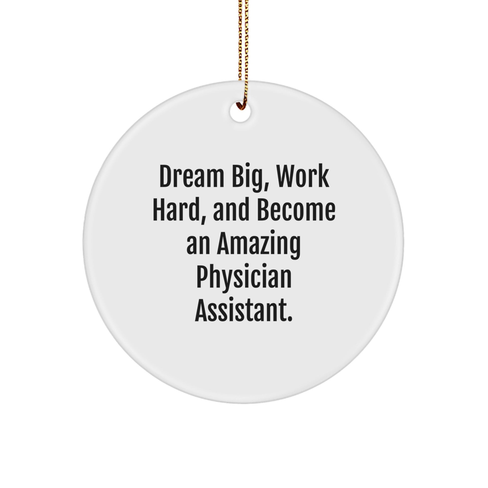 Inspiring Gifts for Physician Assistant Friends, Funny Quote, Christmas Circle Ornament for PA's, Gifts from Friends and Family, PA Gifts for Office Decoration - Image 1