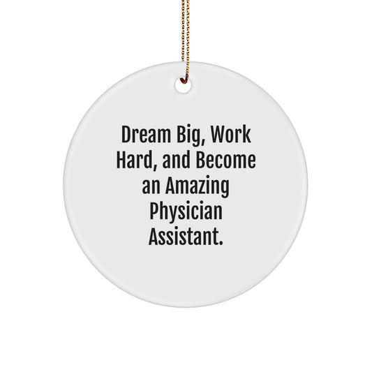 Inspiring Gifts for Physician Assistant Friends, Funny Quote, Christmas Circle Ornament for PA's, Gifts from Friends and Family, PA Gifts for Office Decoration - Image 1
