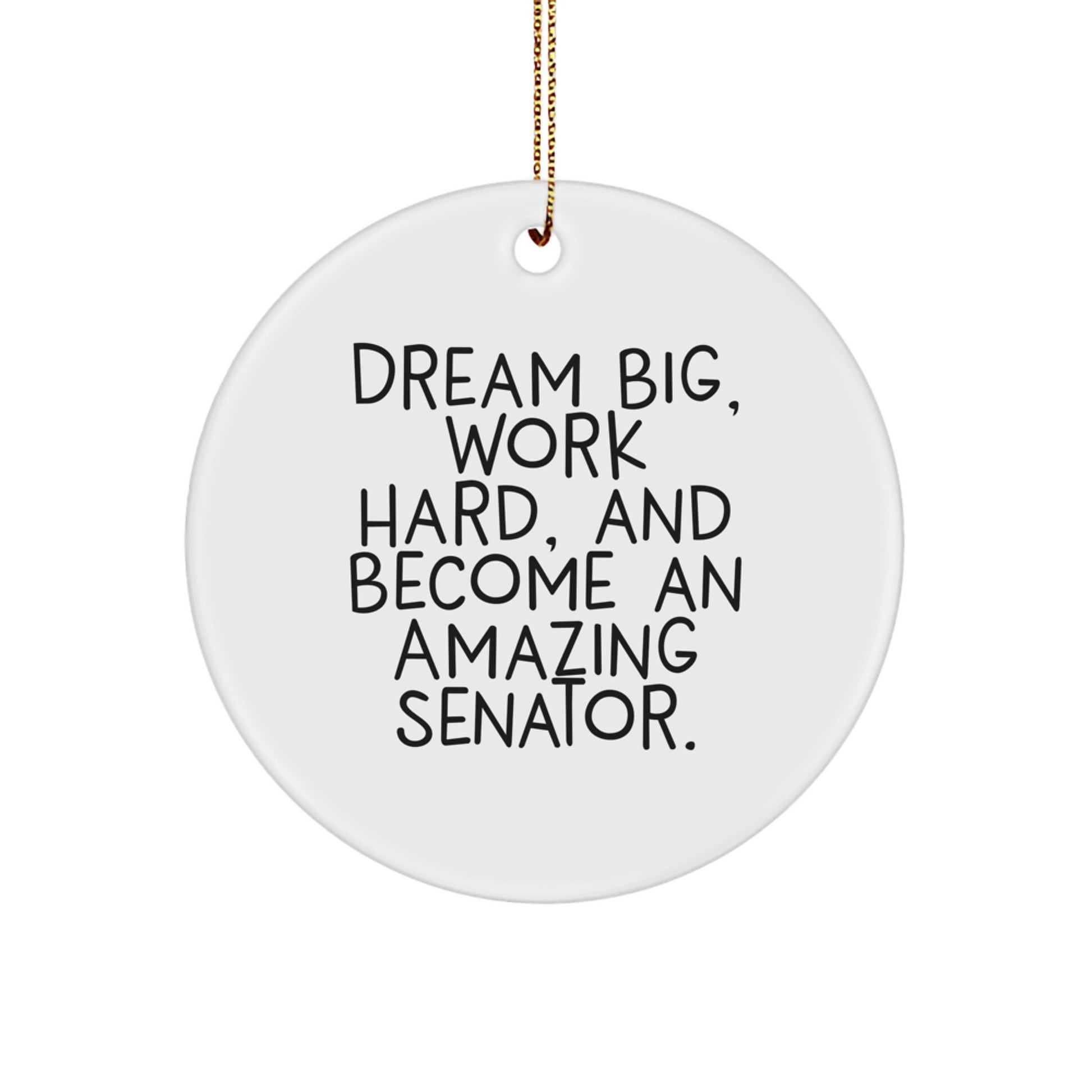 Funny Senator Christmas Unique Gifts from Family to Friends - 'Dream Big, Work Hard, And Become An Amazing Senator.' Circle Ornament for Senator - Image 1