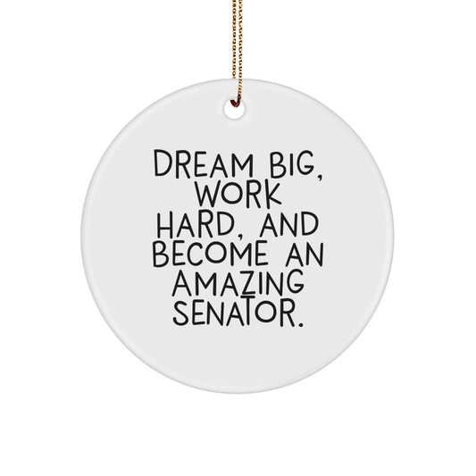 Funny Senator Christmas Unique Gifts from Family to Friends - 'Dream Big, Work Hard, And Become An Amazing Senator.' Circle Ornament for Senator - Image 1