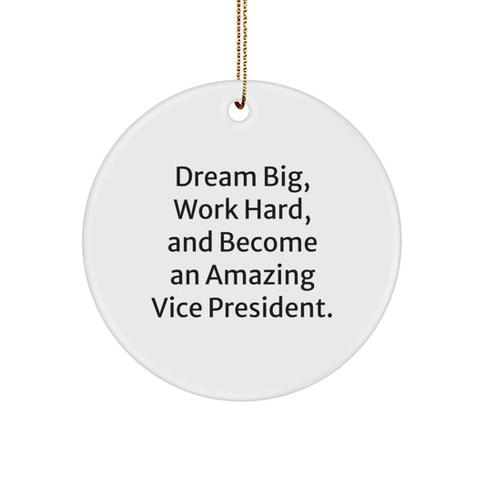 Funny Vice President Gifts for Men - Become an Amazing Leader Circle Ornament with Inspirational Quote, Gifts from Family to Vice President on Christmas Unique Gifts - Image 1