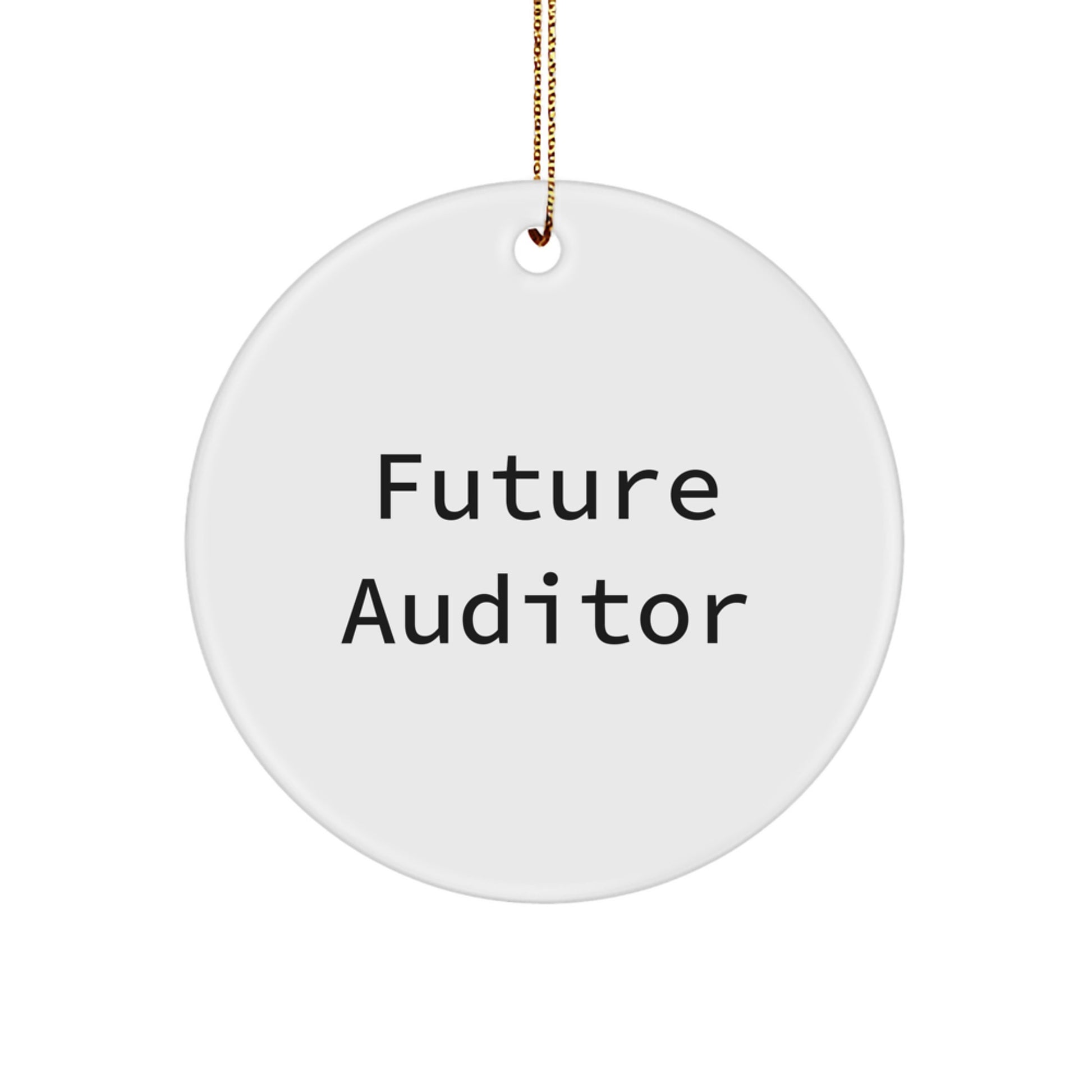 Funny Gift for Future Auditor, Auditor Christmas Unique Gifts from Friends, Circle Ornament Quote 'I'm an Auditor in Training, I'm a Master of Numbers', Unique Auditor Gifts for Men or Women - Image 1