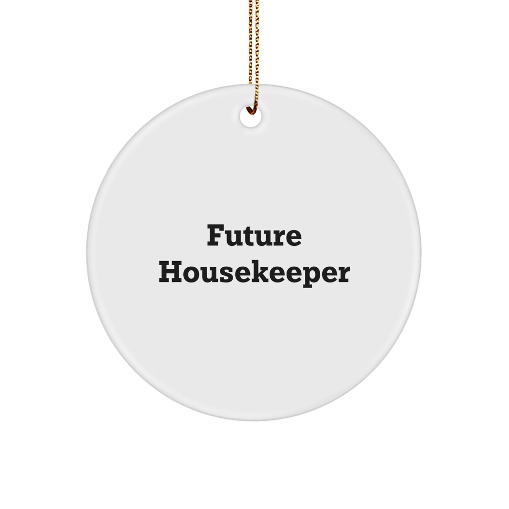 Funny Housekeeper Gifts from Family for Future Housekeepers, Circle Ornament, Christmas Unique Gifts - Image 1
