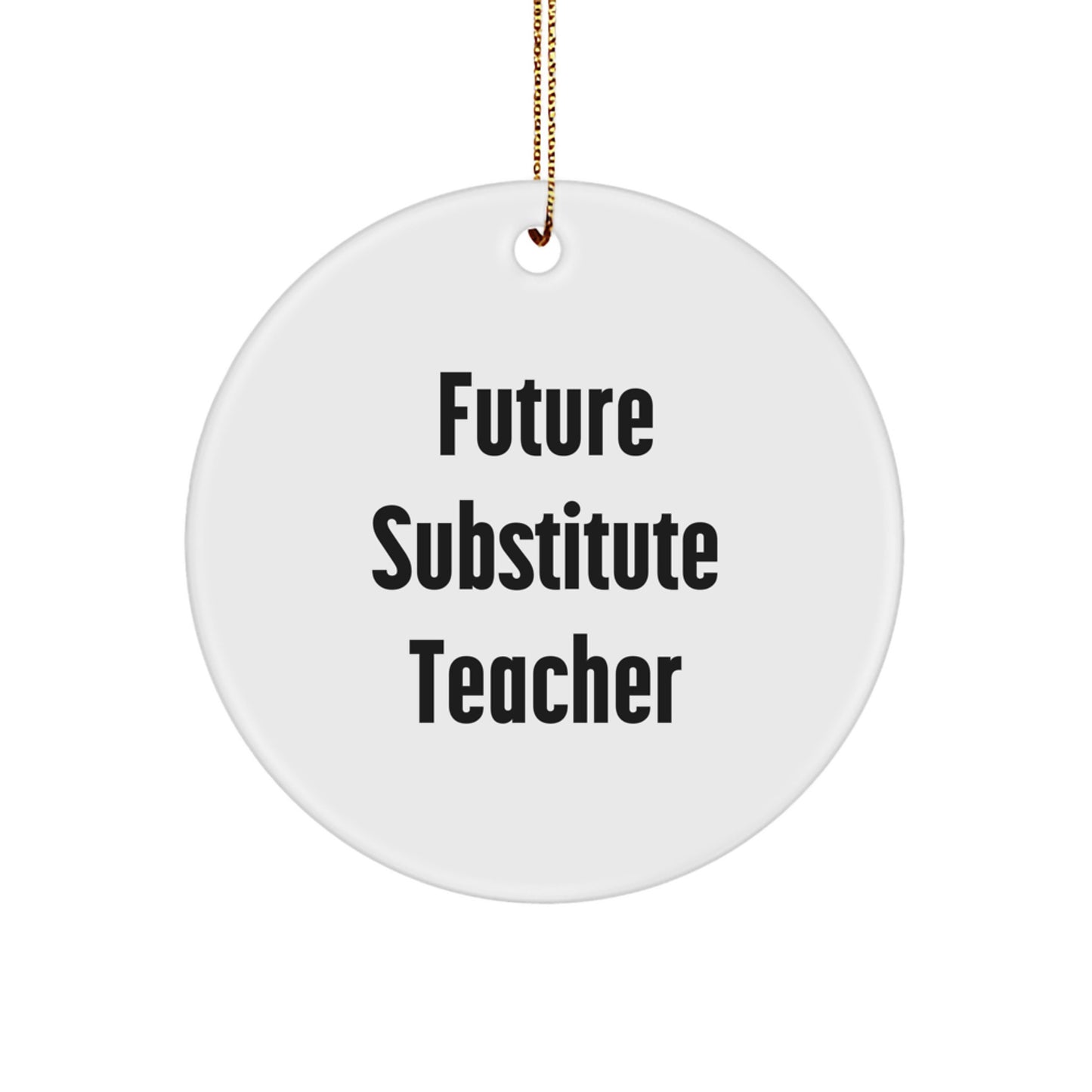 Funny Substitute Teacher Gifts from Friends for Christmas Unique Circle Ornament with Future Substitute Teacher Quote - Image 1