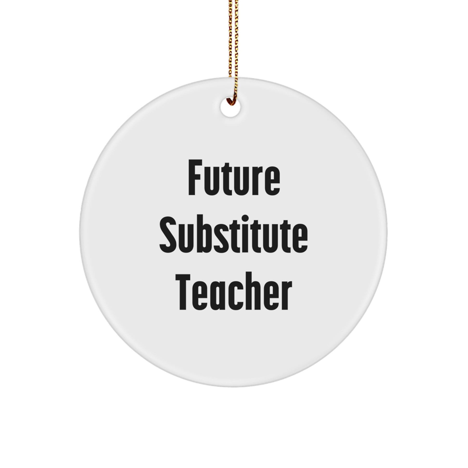 Funny Substitute Teacher Gifts from Friends for Christmas Unique Circle Ornament with Future Substitute Teacher Quote - Image 1