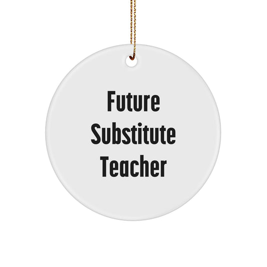 Funny Substitute Teacher Gifts from Friends for Christmas Unique Circle Ornament with Future Substitute Teacher Quote - Image 1