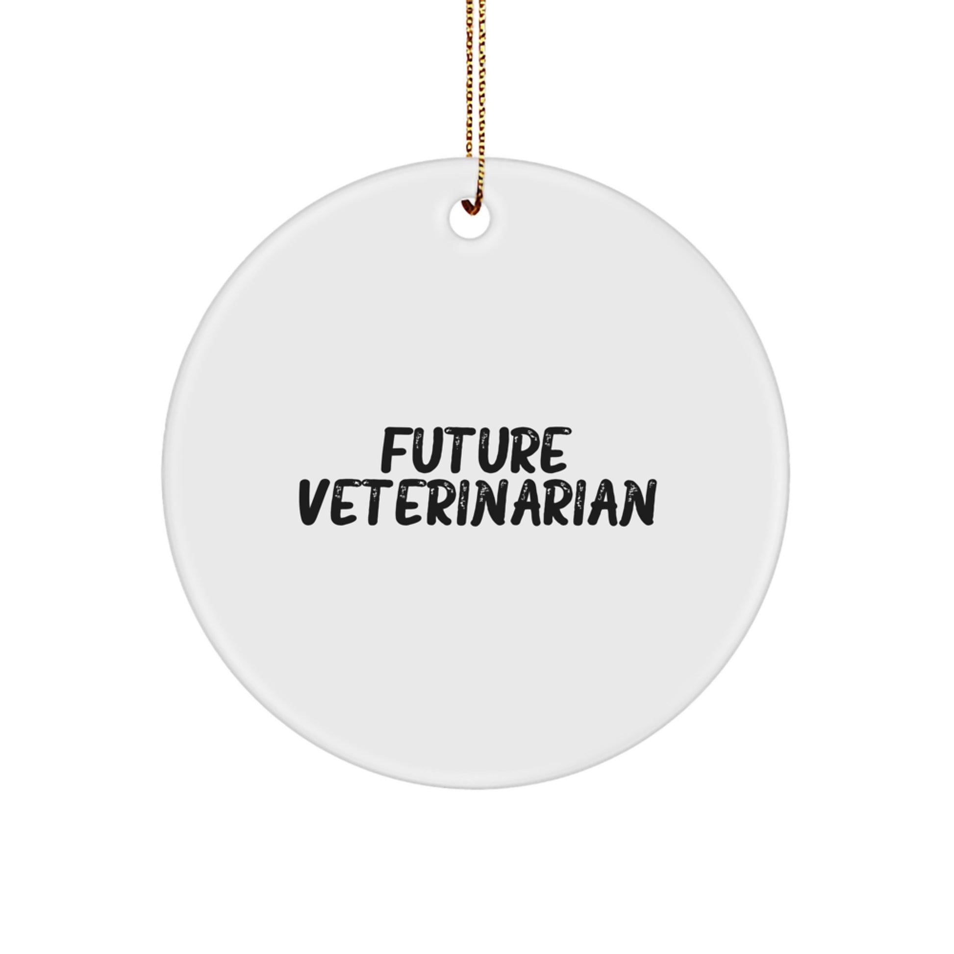 Funny Quote Gifts from Friends to Veterinarians for Christmas Unique Circle Ornaments - Image 1