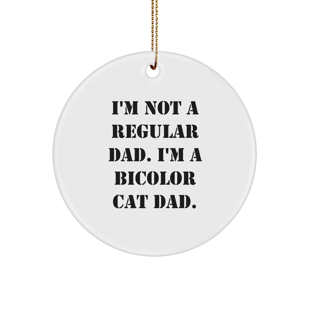 Funny Bicolor Cat Dad Circle Ornament Gifts for Men Unique Christmas Decorations from Dad - Image 1