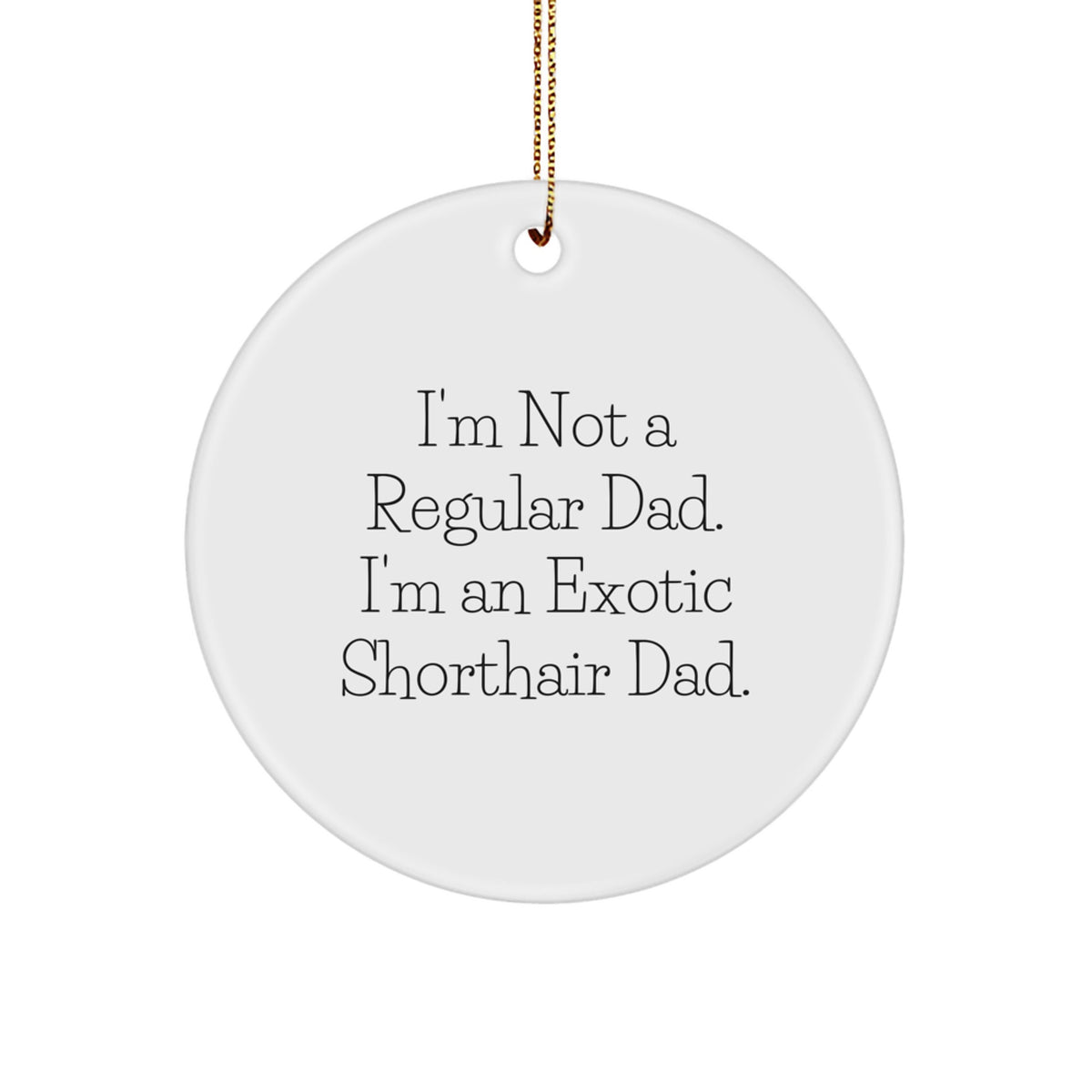 Funny Exotic Shorthair Cat Gifts for Exotic Shorthair Cat Lovers - I'm Not A Regular Dad, I'm An Exotic Shorthair Dad - Christmas Unique Ornaments for Men and Women - Image 1