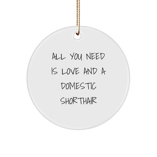 Domestic Shorthair Cat Gifts, Funny Quote Ornament, All You Need Is Love And A Domestic Shorthair, Circle Ornament for Christmas, Gifts from Friends to Domestic Shorthair Cat Lovers - Image 1