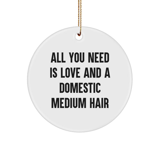 Domestic Medium Hair Cat Circle Ornament Gift for Him ChristmasGift Love - Image 1