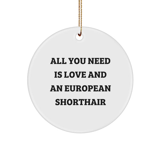 European Shorthair Cat Lover Gifts from Friends and Family - Christmas Unique Circle Ornaments, 'All You Need Is Love And An European Shorthair' Funny Quote Decor - Image 1