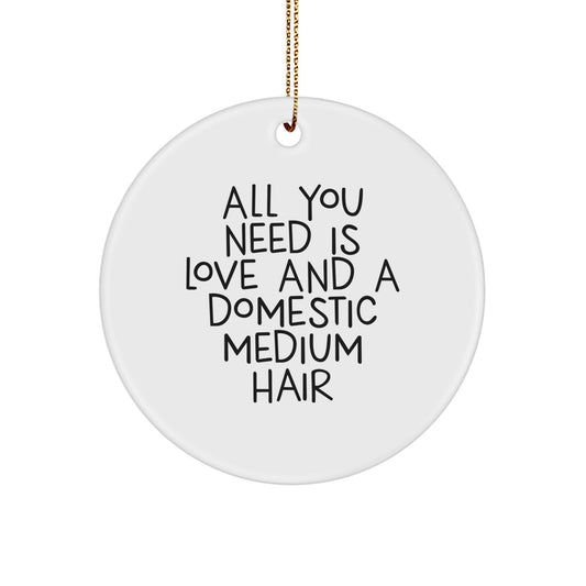 Funny Domestic Medium Hair Christmas Circle Ornament Gifts from Friends for Domestic Medium Hair Owners, 'All You Need Is Love And A Domestic Medium Hair' Quote - Image 1