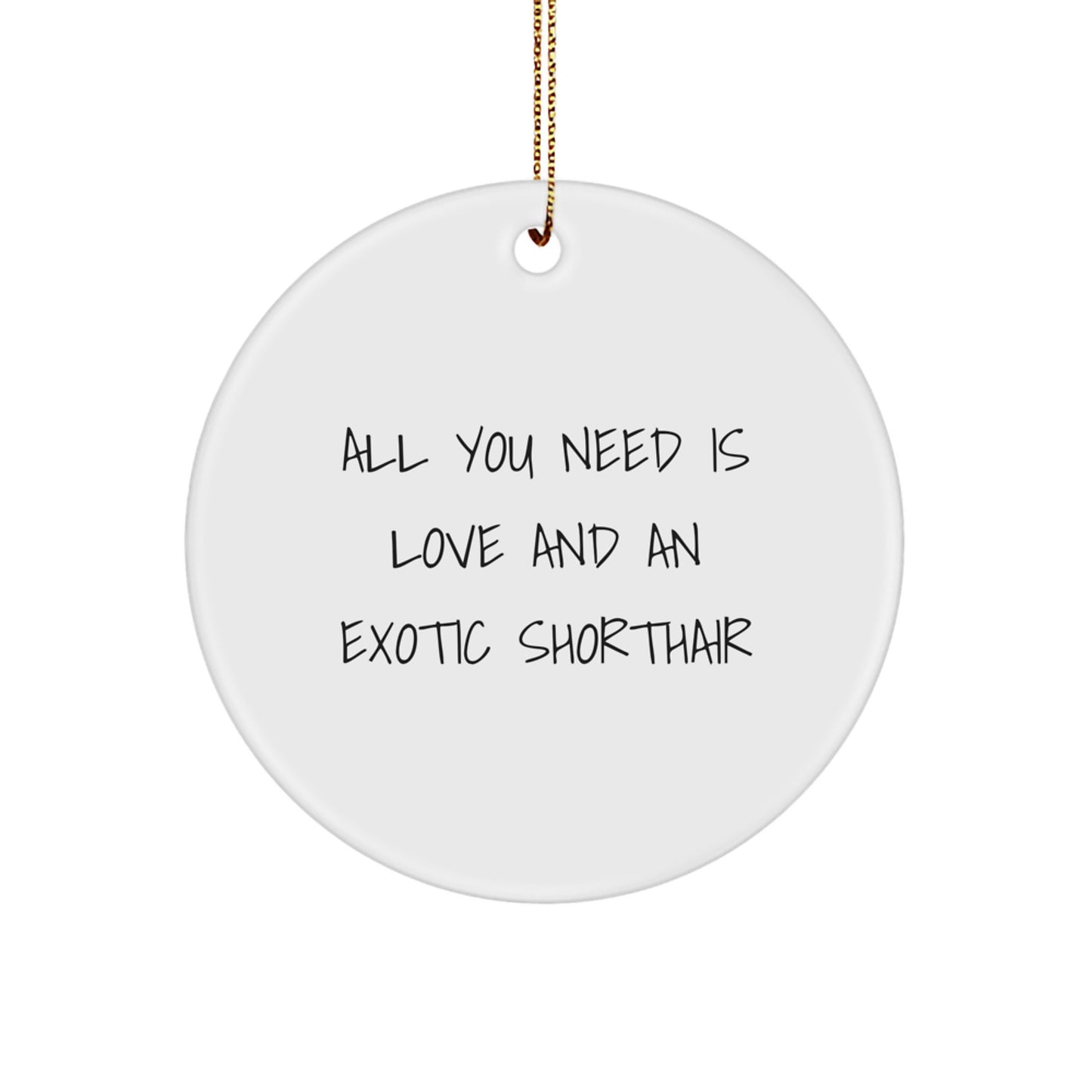 Funny Exotic Shorthair Cat Gifts from Friends for Christmas Unique Circle Ornament, All You Need Is Love And An Exotic Shorthair - Image 1