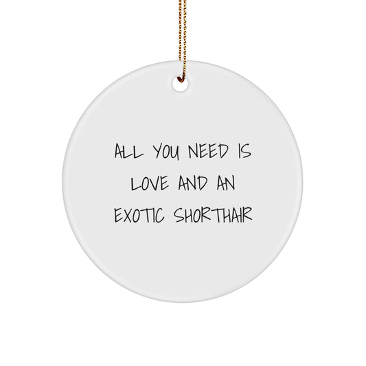Funny Exotic Shorthair Cat Gifts from Friends for Christmas Unique Circle Ornament, All You Need Is Love And An Exotic Shorthair - Image 1