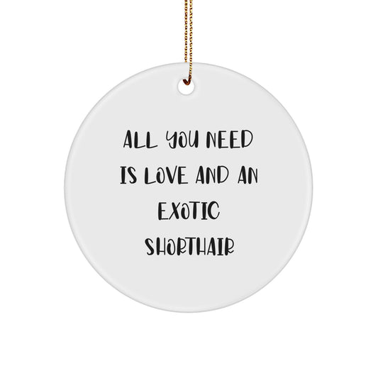 Exotic Shorthair Cat Lover Circle Ornament, Funny Quote Gifts from Family to Exotic Shorthair Cat Enthusiasts, Christmas Unique Gifts for Exotic Shorthair Cat Owners - Image 1