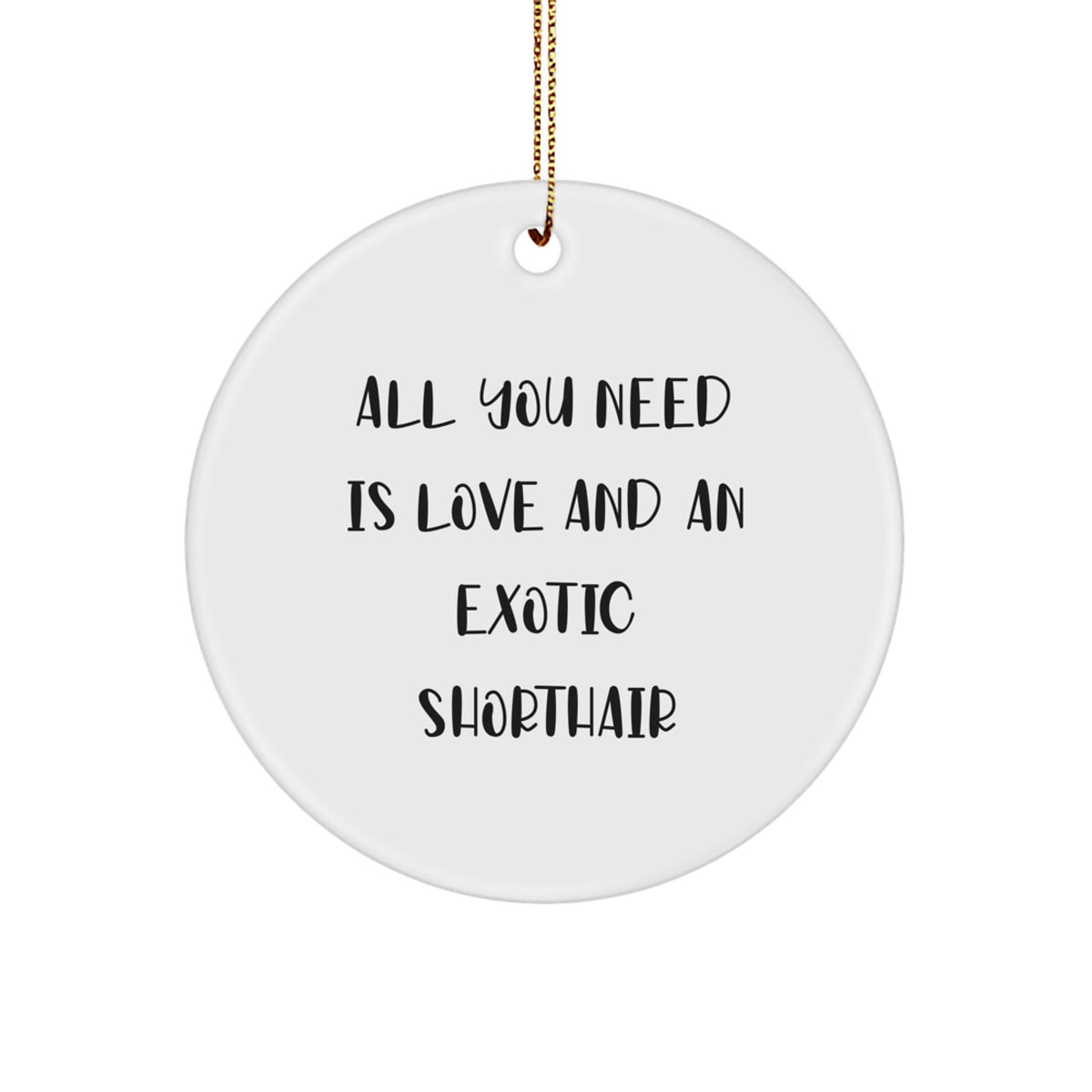 Exotic Shorthair Cat Lover Circle Ornament, Funny Quote Gifts from Family to Exotic Shorthair Cat Enthusiasts, Christmas Unique Gifts for Exotic Shorthair Cat Owners - Image 1