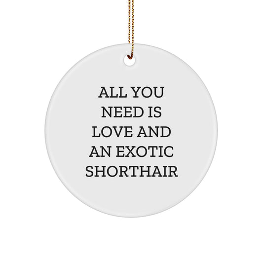 Exotic Shorthair Cat Lover Gifts from Friends 'All You Need Is Love And An Exotic Shorthair' Christmas Unique Circle Ornament - Image 1