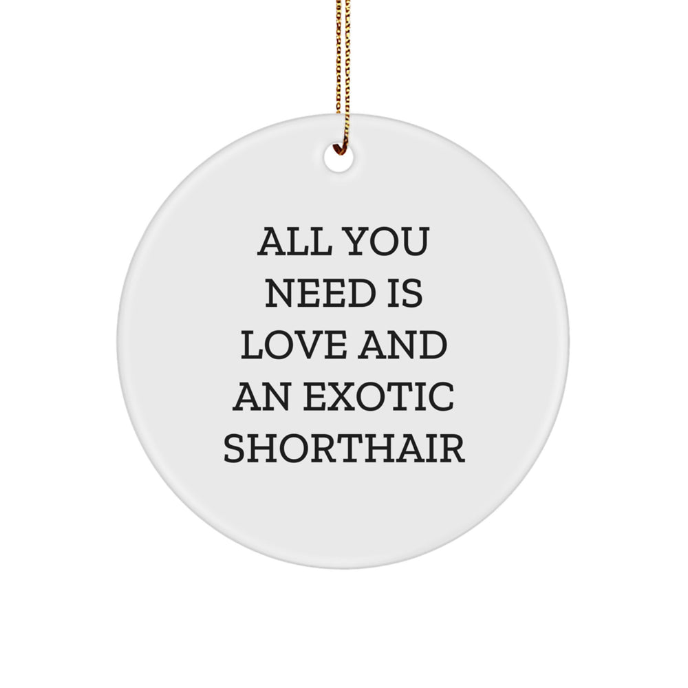 Exotic Shorthair Cat Lover Gifts from Friends 'All You Need Is Love And An Exotic Shorthair' Christmas Unique Circle Ornament - Image 1