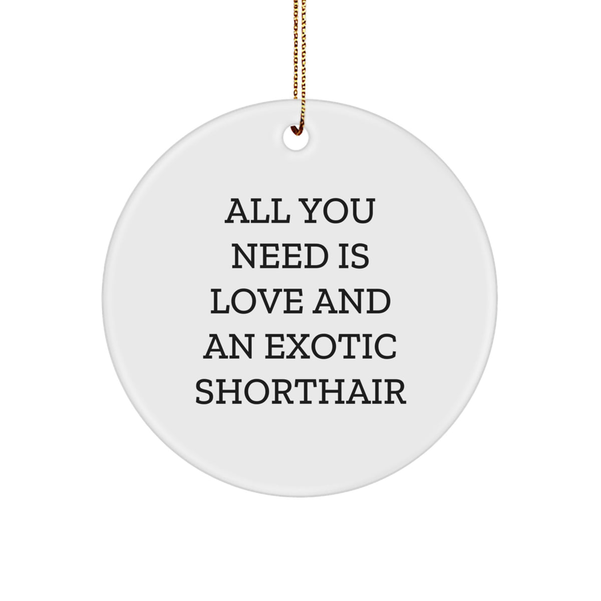 Exotic Shorthair Cat Lover Gifts from Friends 'All You Need Is Love And An Exotic Shorthair' Christmas Unique Circle Ornament - Image 1