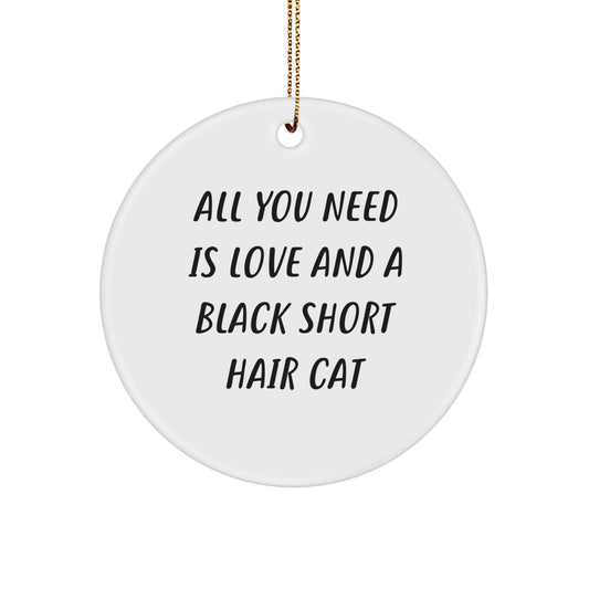Black Short Hair Cat Christmas Circle Ornament Gifts from Men to Black Short Hair Cat Lovers, Inspirational - Image 1
