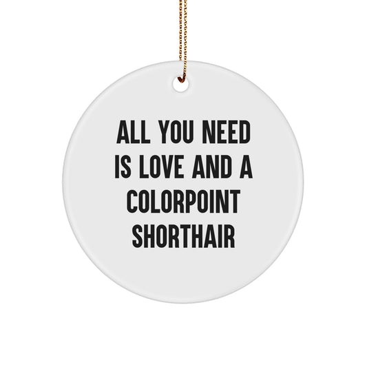 Colorpoint Shorthair Cat Circle Ornament for Coworker Christmas Unique Gift - Image 1