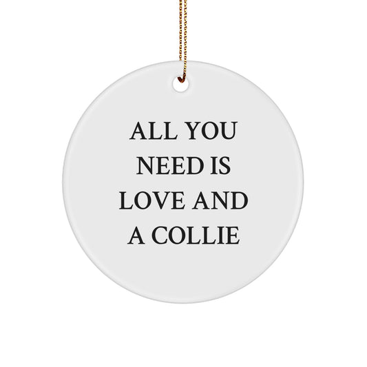 Funny Collie Dog Gifts from Family for Men Women Friends Coworkers during Christmas Unique Gifts - Image 1