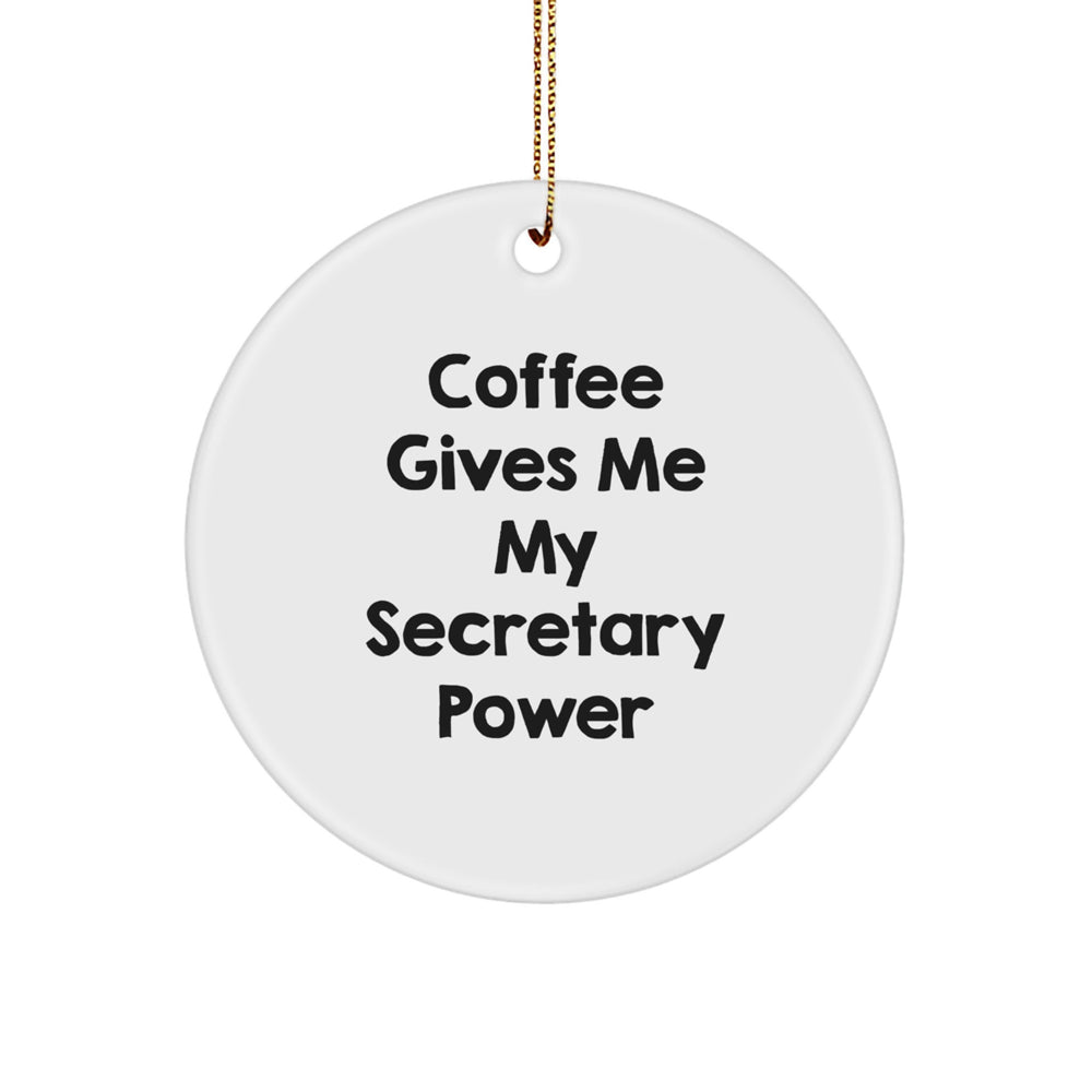 Funny Secretary Gifts from Friends for Christmas Circle Ornament - Image 1