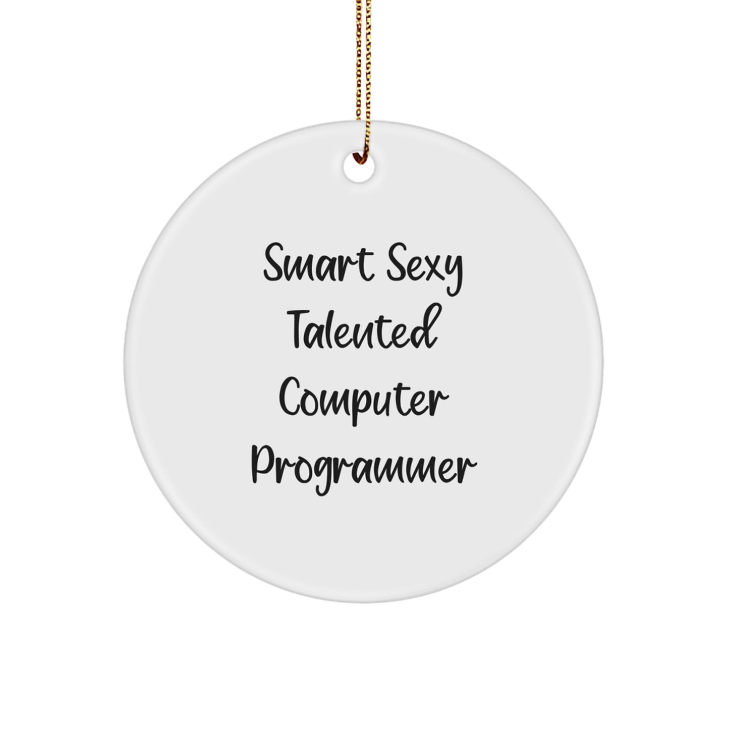 Funny Gifts for Computer Programmer Friends, Smart Sexy Talented Computer Programmer Ornaments, Christmas Unique Circle Decorations - Image 1