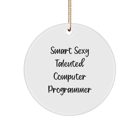 Funny Gifts for Computer Programmer Friends, Smart Sexy Talented Computer Programmer Ornaments, Christmas Unique Circle Decorations - Image 1