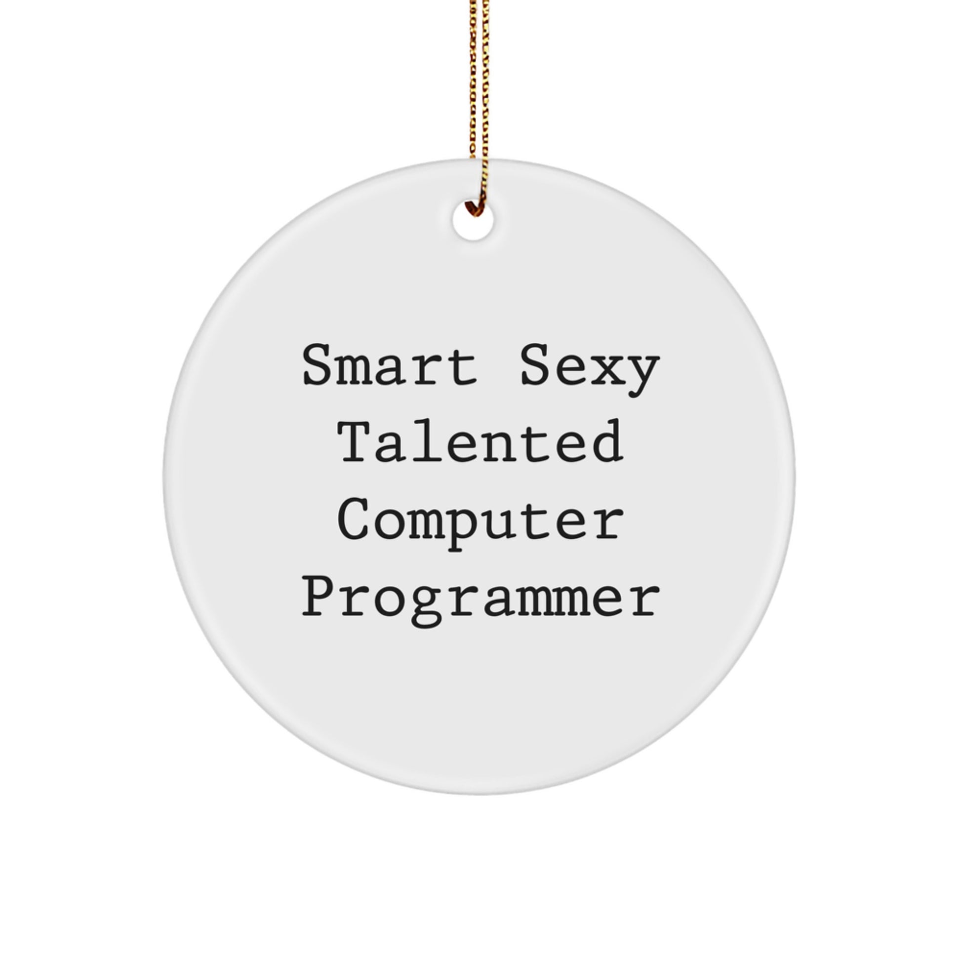 Funny Computer Programmer Gift, Smart Sexy Talented Circle Ornament, Gifts from Friends for Men, Christmas Unique - Image 1
