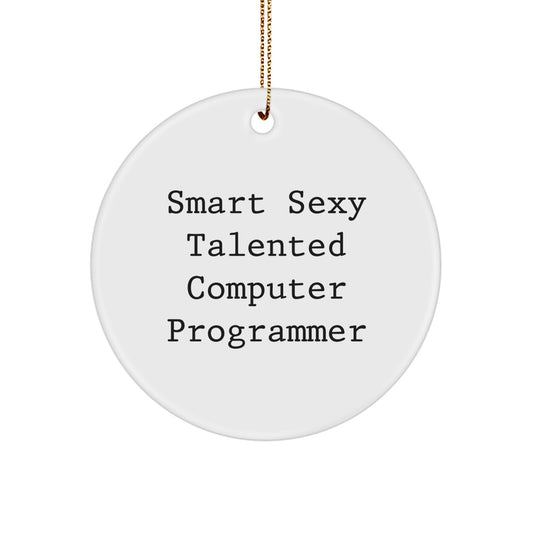 Funny Computer Programmer Gift, Smart Sexy Talented Circle Ornament, Gifts from Friends for Men, Christmas Unique - Image 1