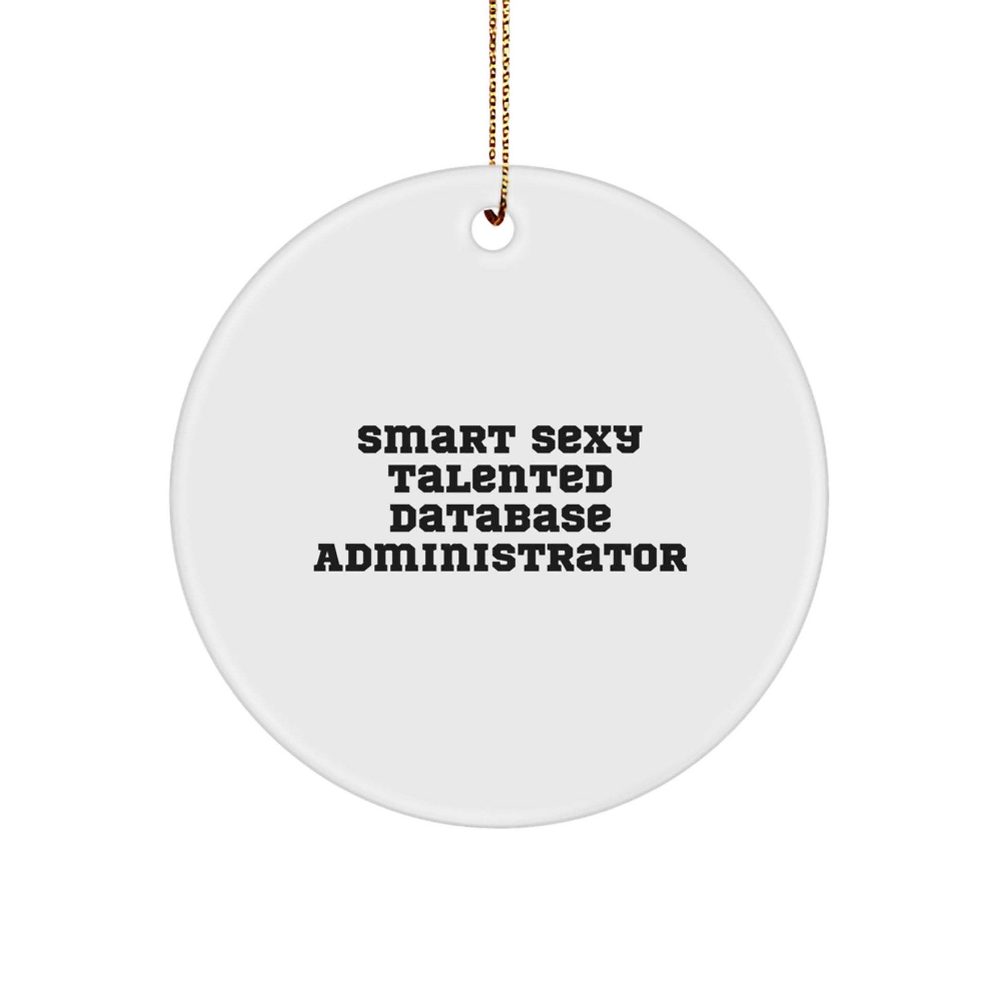 Funny Database Administrator Gifts for the Smart Sexy Talented - Christmas Unique Circle Ornament Gifts from Friends - Image 1