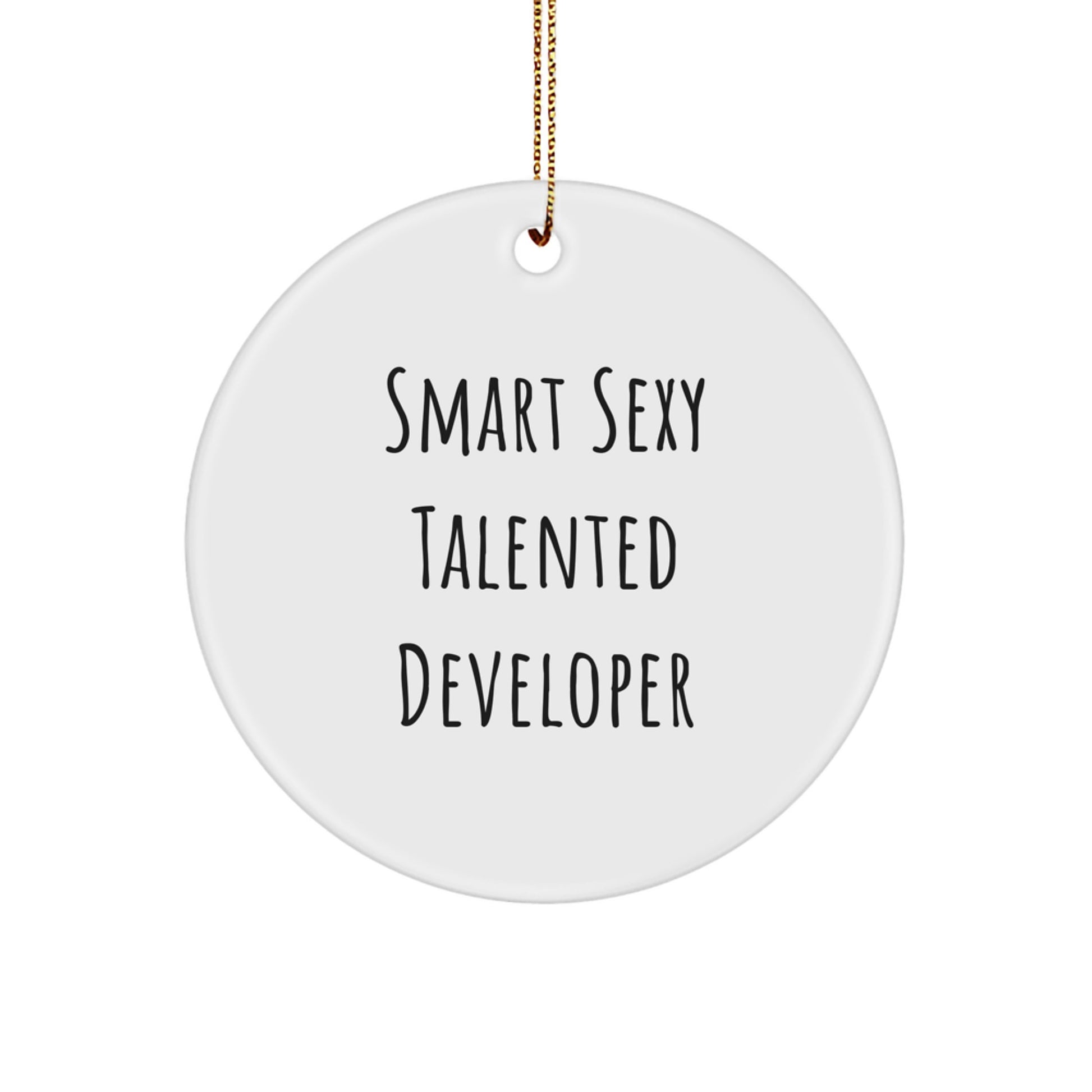 Christmas Unique Gifts from Friends for Smart Sexy Talented Developers - Funny Circle Ornament - Image 1