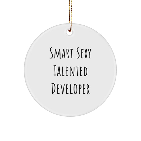 Christmas Unique Gifts from Friends for Smart Sexy Talented Developers - Funny Circle Ornament - Image 1